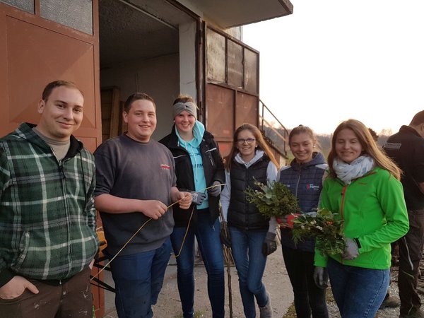 Palmbuschenbinden 2019